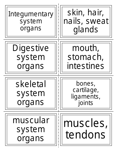 Anatomy Flashcards - Organ Systems