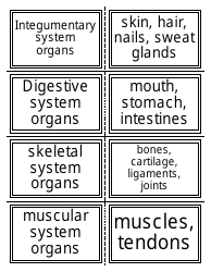 Anatomy Flashcards - Organ Systems