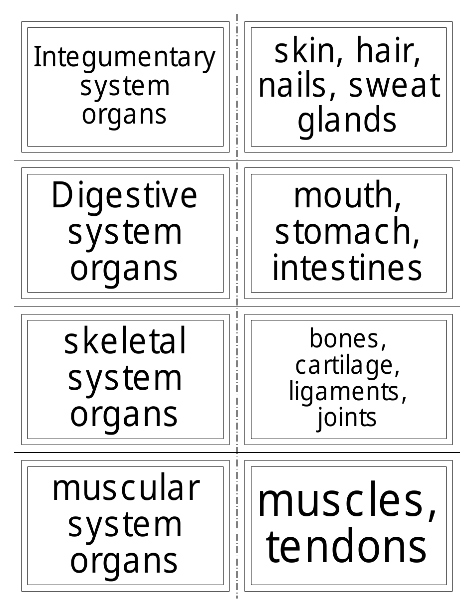 Anatomy Flashcards - Organ Systems, Page 1