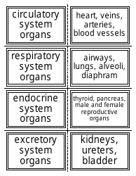Anatomy Flashcards - Organ Systems, Page 2