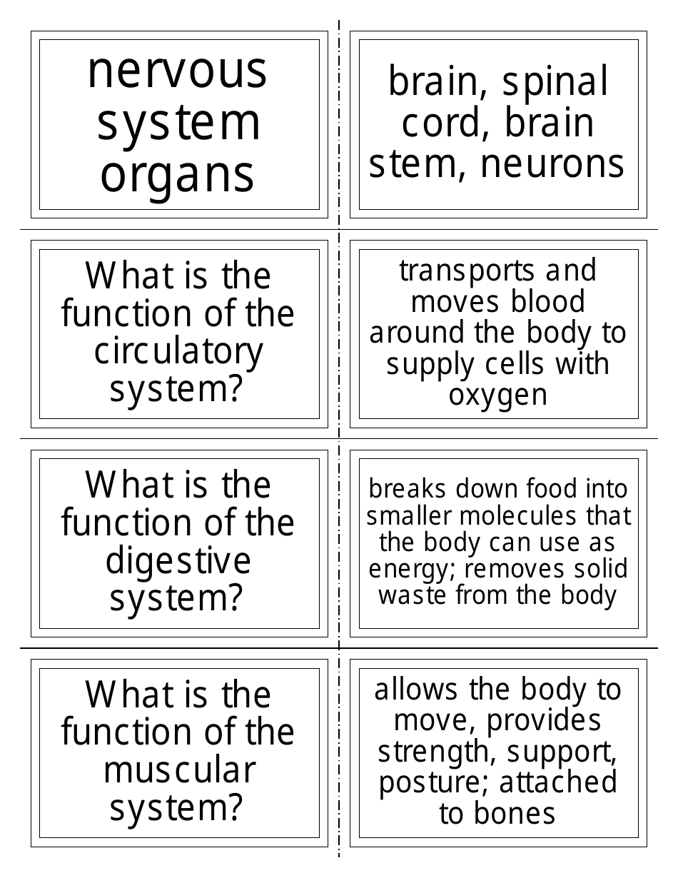 Anatomy Flashcards - Organ Systems, Page 3