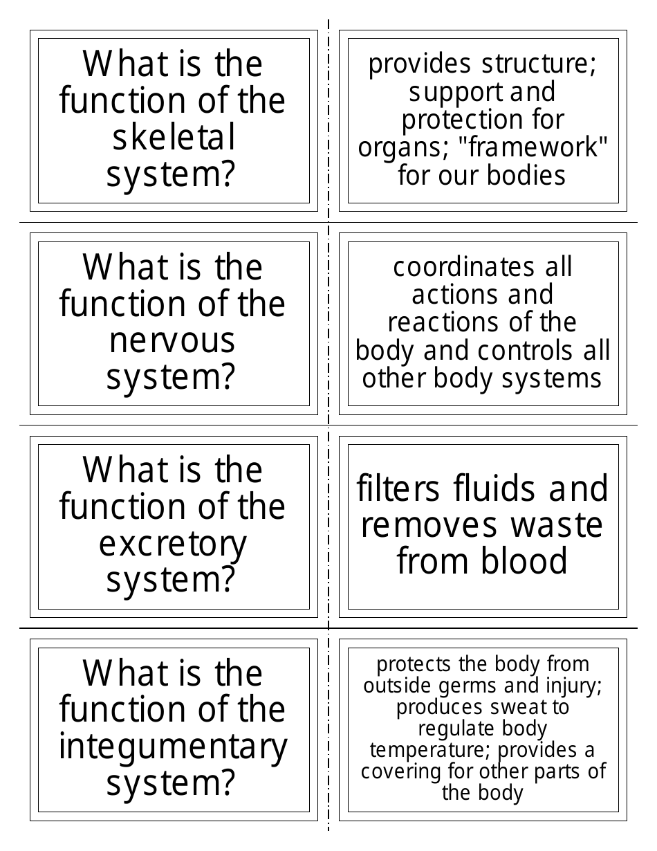 Anatomy Flashcards - Organ Systems, Page 4