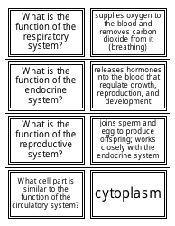 Anatomy Flashcards - Organ Systems, Page 5