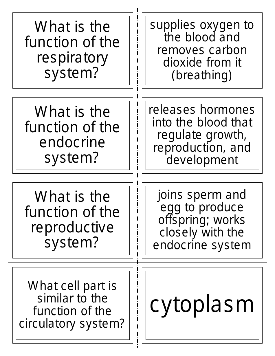 Anatomy Flashcards - Organ Systems, Page 5