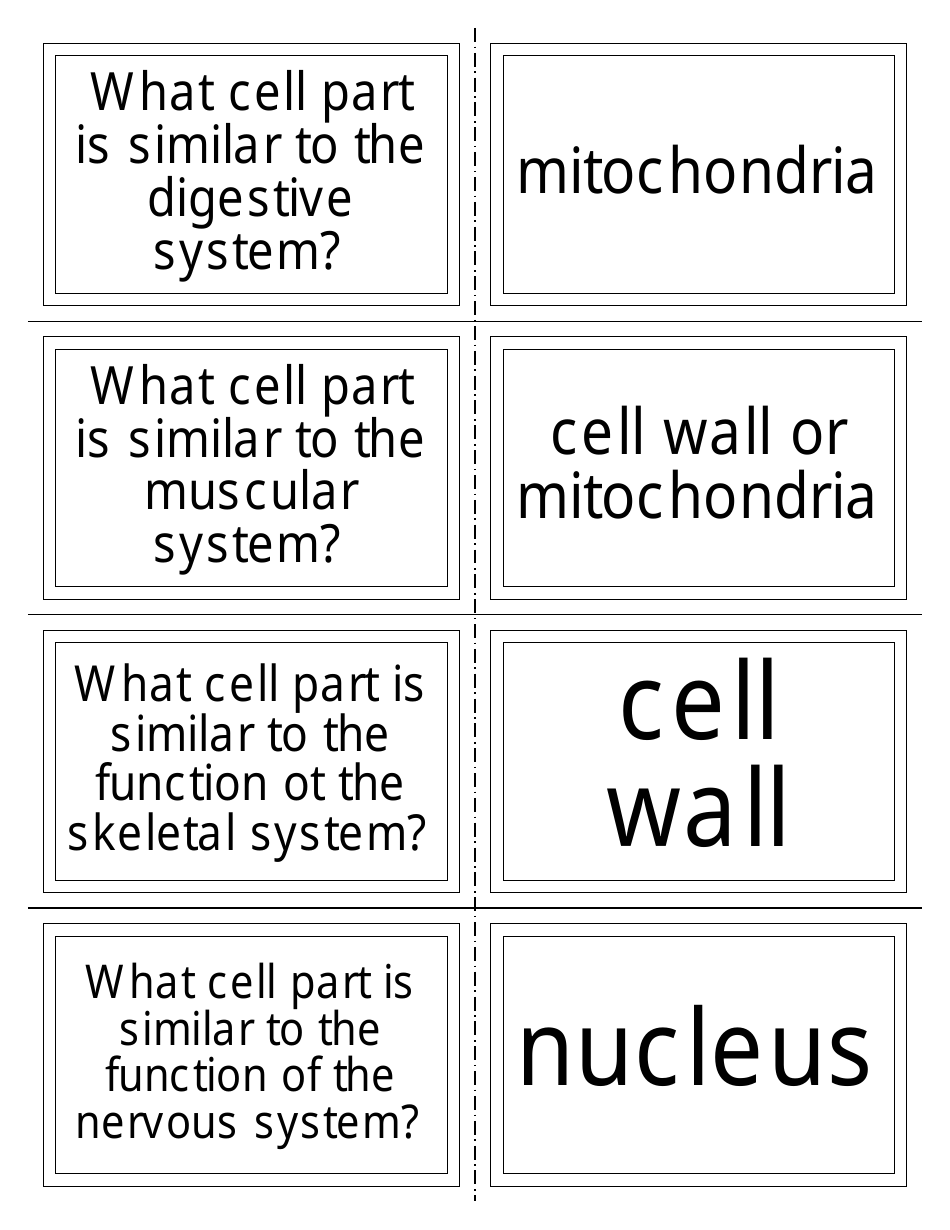 Anatomy Flashcards - Organ Systems, Page 6