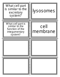 Anatomy Flashcards - Organ Systems, Page 7