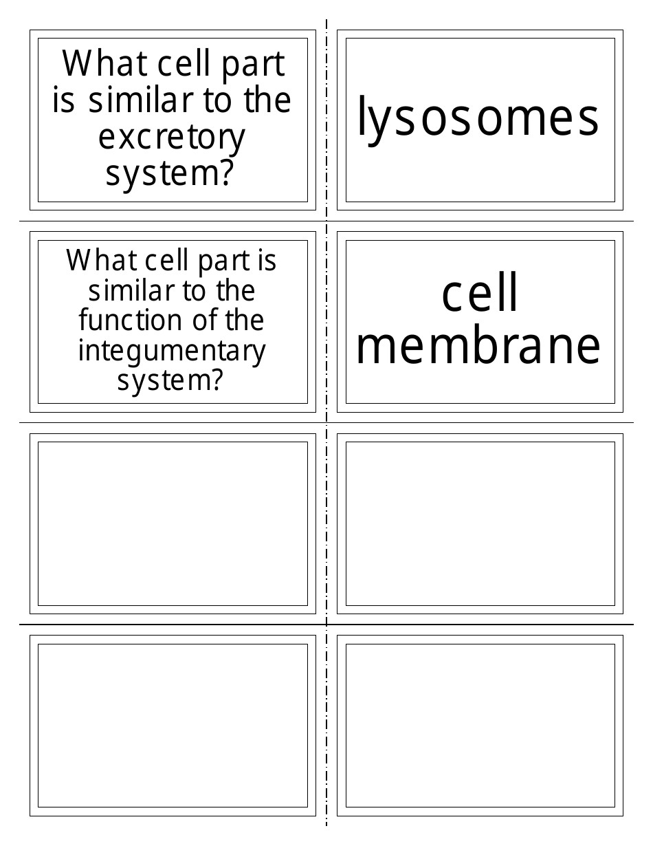 Anatomy Flashcards - Organ Systems, Page 7