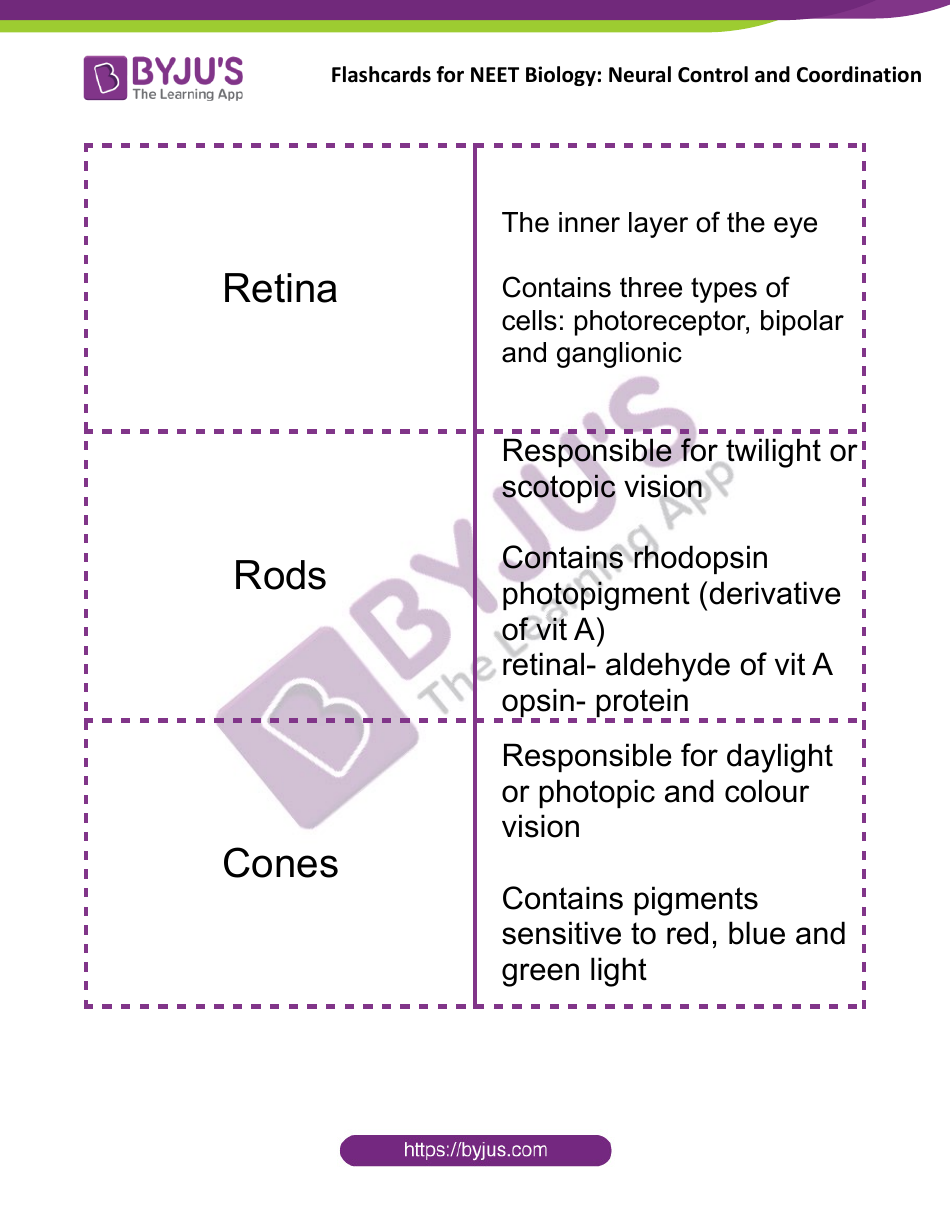 Neet Biology Flashcards - Neural Control and Coordination, Page 10