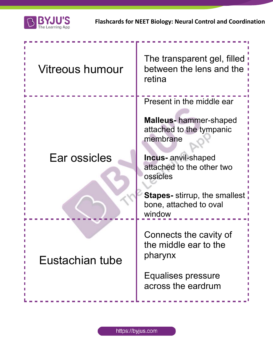 Neet Biology Flashcards - Neural Control and Coordination, Page 12