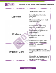 Neet Biology Flashcards - Neural Control and Coordination, Page 13