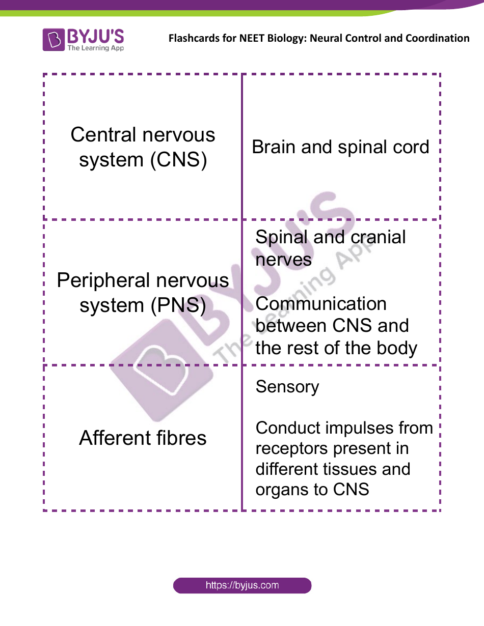 Neet Biology Flashcards - Neural Control and Coordination, Page 1