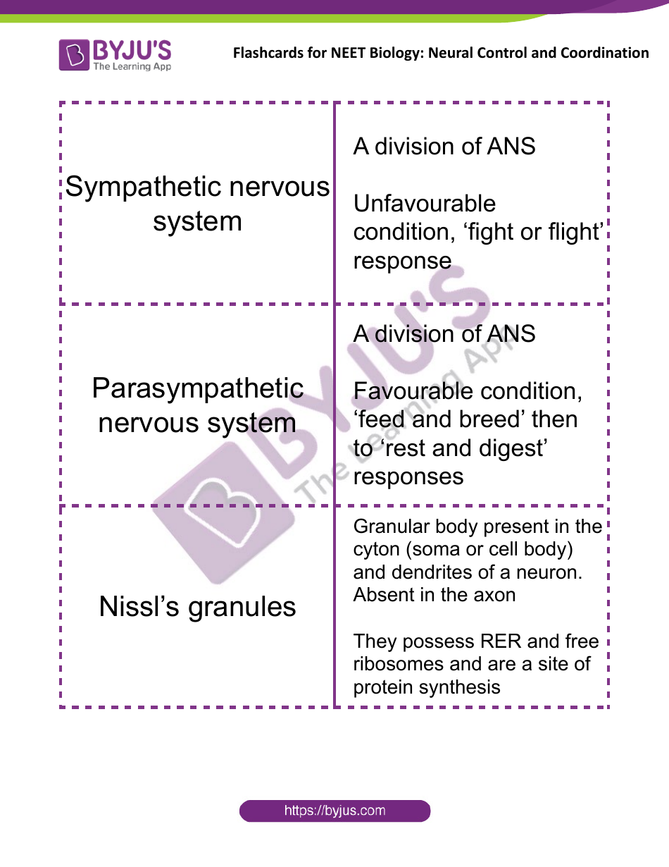 Neet Biology Flashcards - Neural Control and Coordination, Page 3