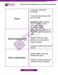 Neet Biology Flashcards - Neural Control and Coordination, Page 4