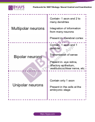 Neet Biology Flashcards - Neural Control and Coordination, Page 5