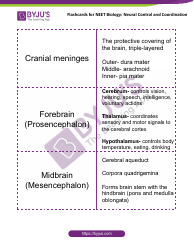 Neet Biology Flashcards - Neural Control and Coordination, Page 6