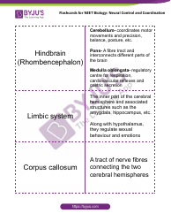 Neet Biology Flashcards - Neural Control and Coordination, Page 7