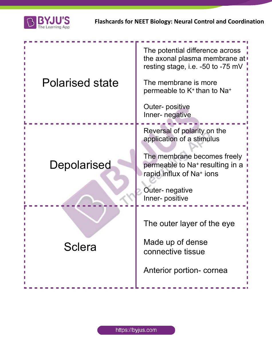 Neet Biology Flashcards - Neural Control and Coordination, Page 8