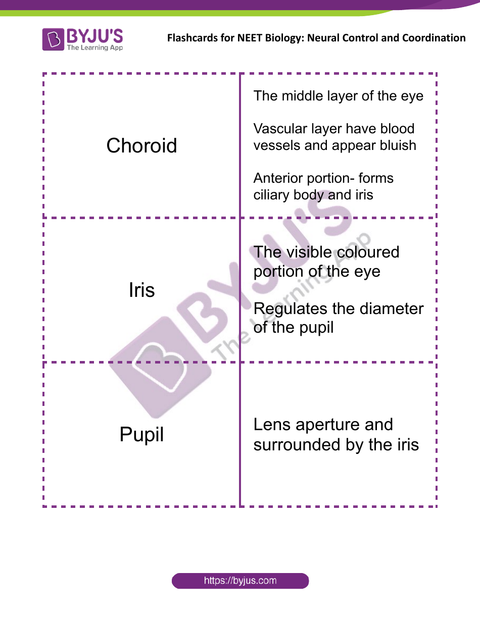 Neet Biology Flashcards - Neural Control and Coordination, Page 9