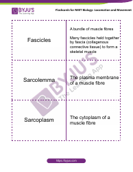 Document preview: Neet Biology Flashcards - Locomotion and Movement