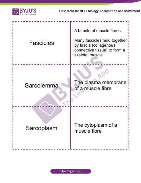 Neet Biology Flashcards - Locomotion and Movement