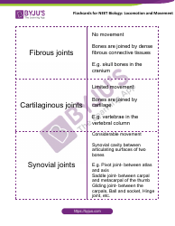 Neet Biology Flashcards - Locomotion and Movement, Page 10
