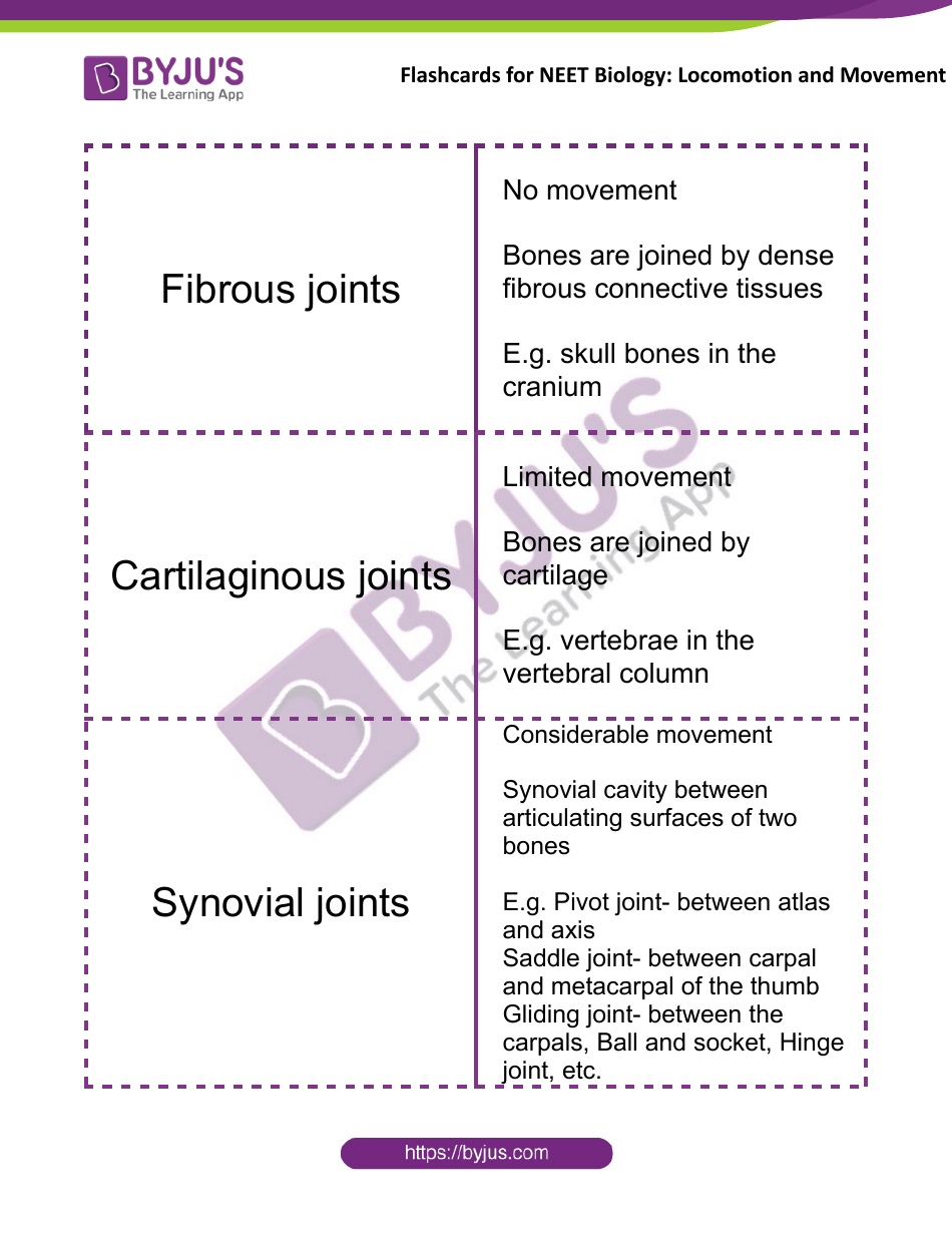 Neet Biology Flashcards - Locomotion and Movement, Page 10