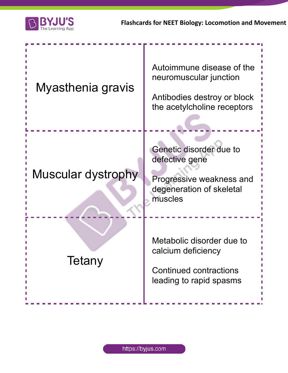 Neet Biology Flashcards - Locomotion and Movement, Page 11