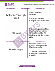 Neet Biology Flashcards - Locomotion and Movement, Page 4