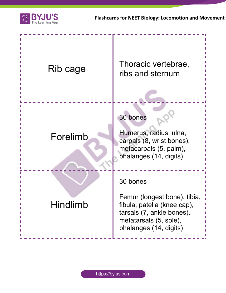 Neet Biology Flashcards - Locomotion and Movement, Page 8
