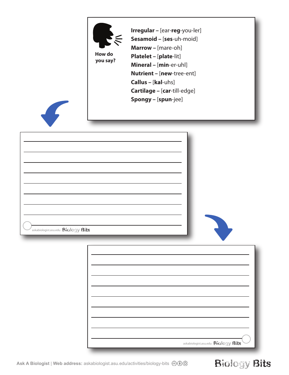 Biology Flashcards - Bones, Page 10