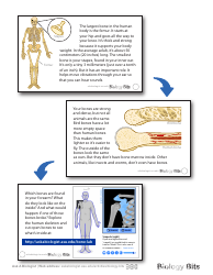 Biology Flashcards - Bones, Page 5
