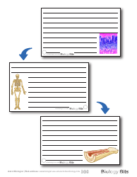 Biology Flashcards - Bones, Page 6