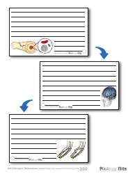 Biology Flashcards - Bones, Page 7