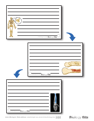 Biology Flashcards - Bones, Page 9