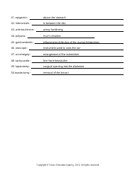 Medical Terminology Worksheet - Texas, Page 14