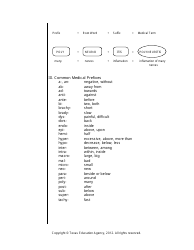 Medical Terminology Worksheet - Texas, Page 2