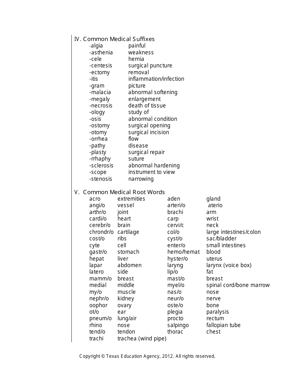 Medical Terminology Worksheet - Texas, Page 3