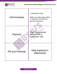 Neet Biology Flashcards - Cell the Unit of Life, Page 3