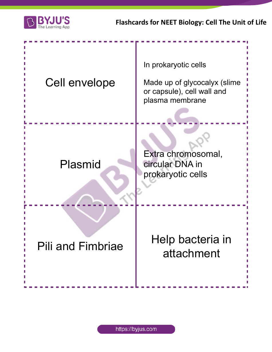 Neet Biology Flashcards - Cell the Unit of Life, Page 3