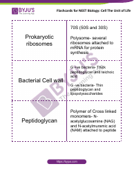Neet Biology Flashcards - Cell the Unit of Life, Page 4
