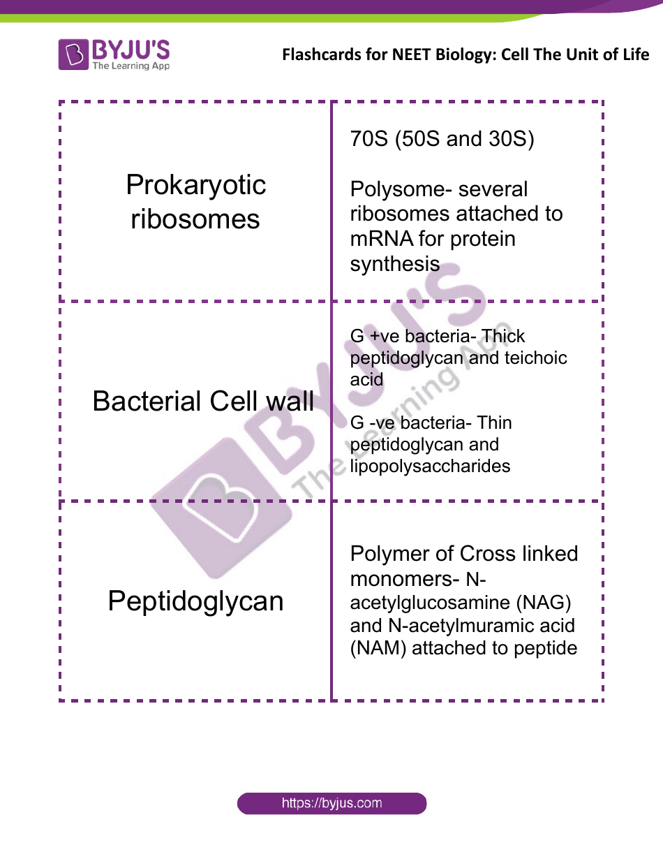 Neet Biology Flashcards - Cell the Unit of Life, Page 4