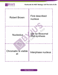 Neet Biology Flashcards - Cell the Unit of Life, Page 8