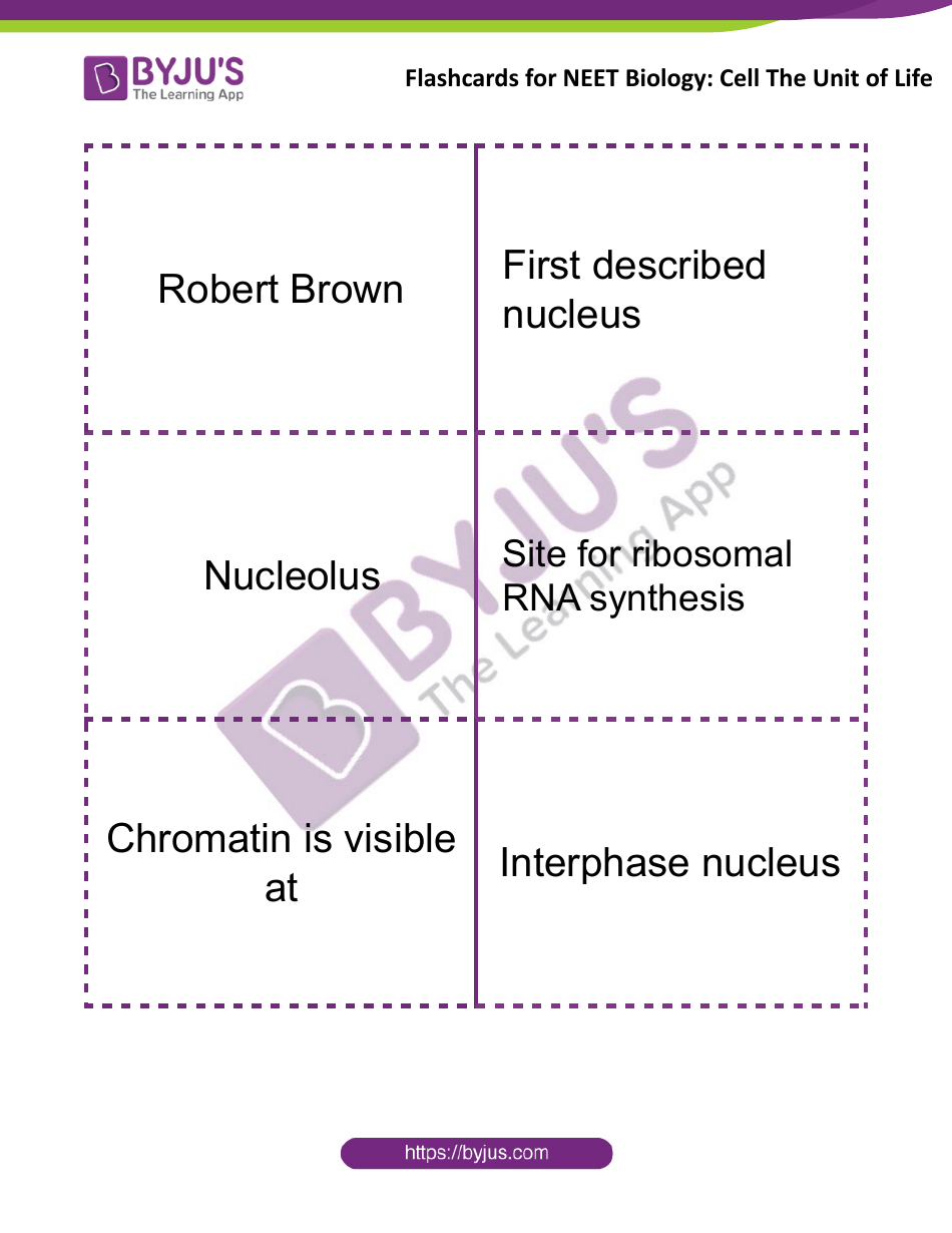 Neet Biology Flashcards - Cell the Unit of Life, Page 8