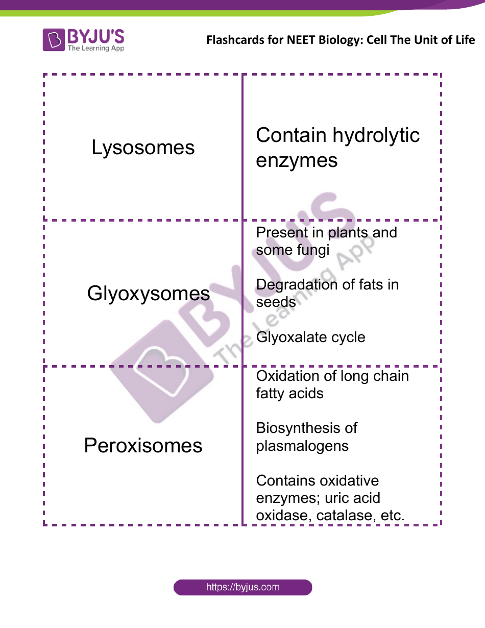 Neet Biology Flashcards - Cell the Unit of Life, Page 9
