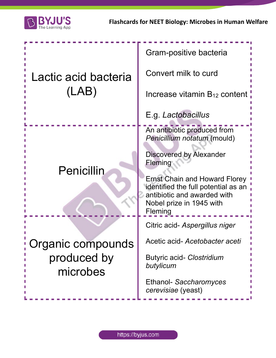 Neet Biology Flashcards - Microbes in Human Welfare, Page 1