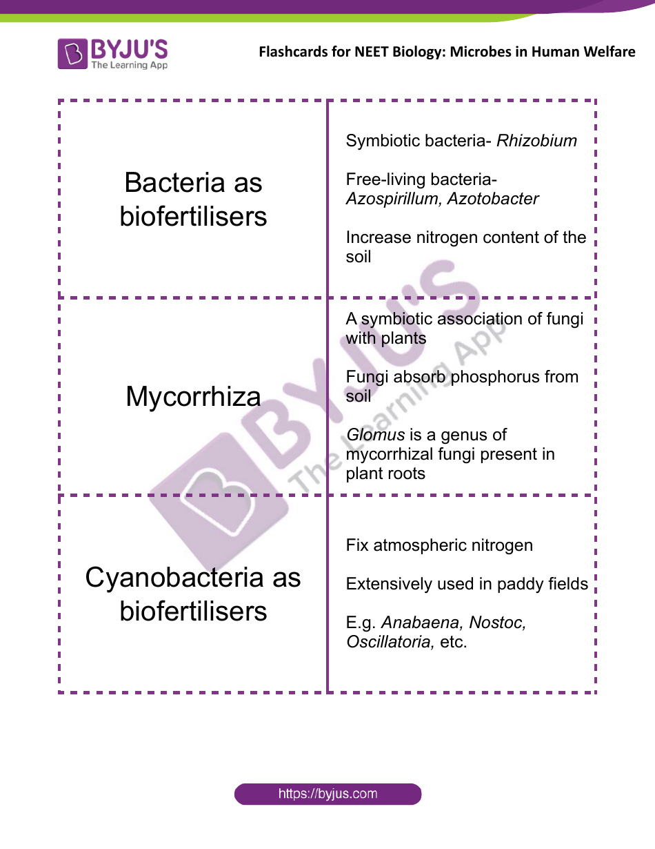 Neet Biology Flashcards - Microbes in Human Welfare, Page 4
