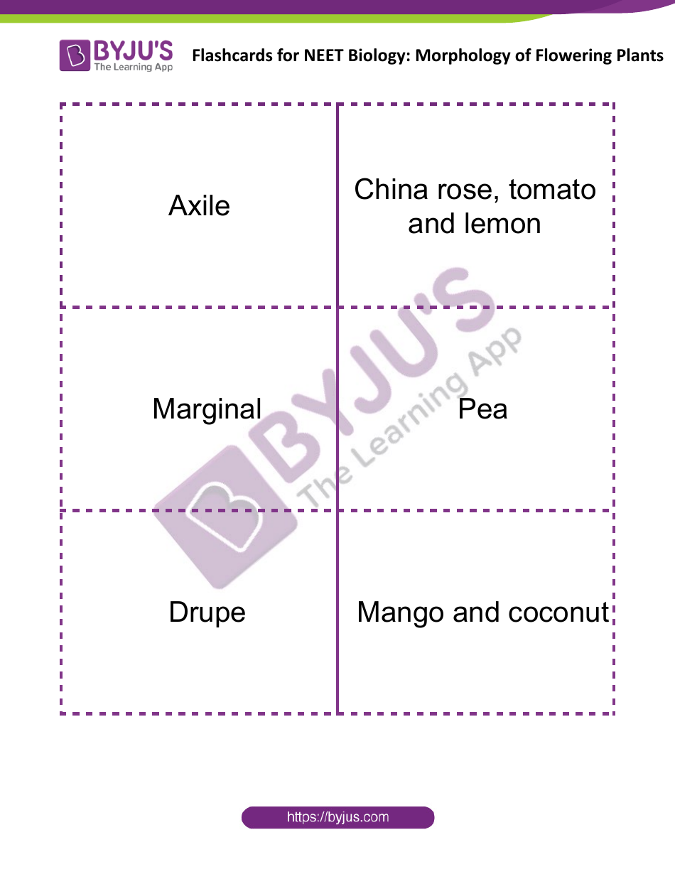 Neet Biology Flashcards - Morphology of Flowering Plants, Page 10