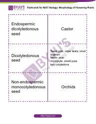 Neet Biology Flashcards - Morphology of Flowering Plants, Page 11