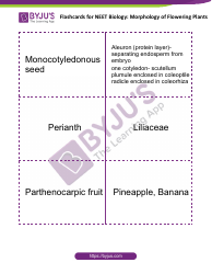 Neet Biology Flashcards - Morphology of Flowering Plants, Page 12