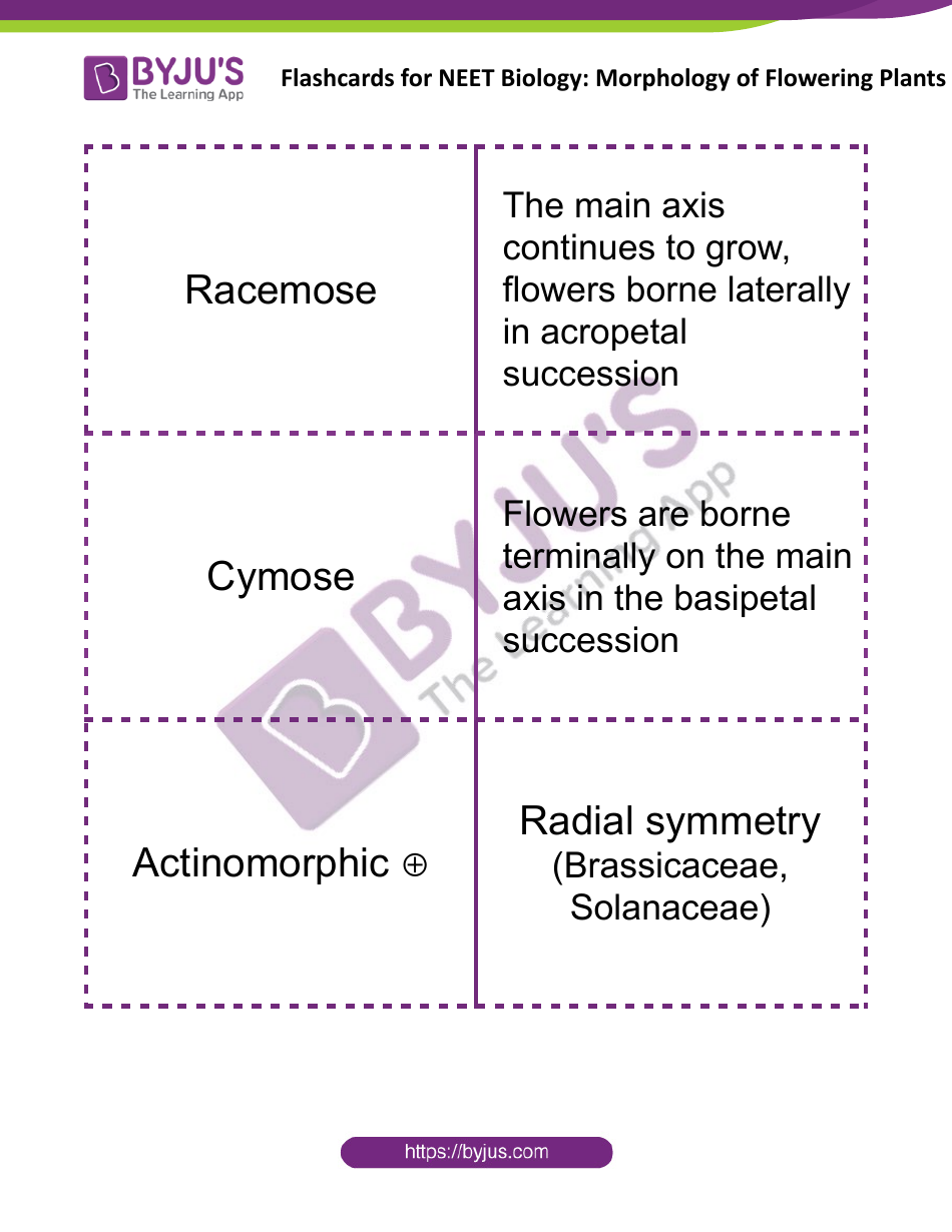 Neet Biology Flashcards - Morphology of Flowering Plants, Page 5